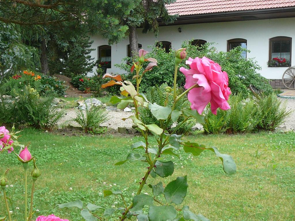 Smrzice La Ferme De Sissi 아파트 외부 사진